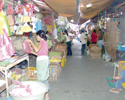 Iloilo News : Terminal Market