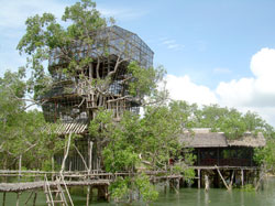 Pagatpat's four-storey treehouse