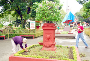 A worker spruces up the plants inside Iloilo City's historic  Plaza Libertad.