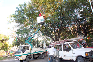 Personnel from the city government of Bacolod hang lanterns on the trees within Bacolod City public plaza.