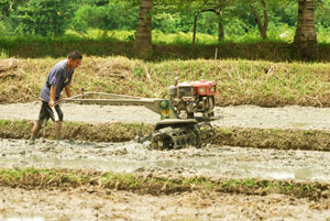 Farmer tilling land