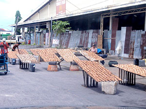 Makers of dried fish in Bacolod City take advantage of the sunlight by drying their produce along Reclamation Area.