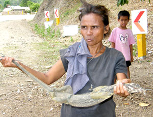 MONITOR LIZARD FOR SALE. An Aeta woman in Barotac Viejo, Iloilo sells a live monitor lizard for P200