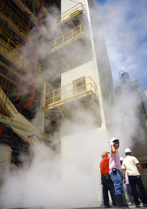 Workers of the coal-fired power plant of the Panay Energy Development Corp. in La Paz, Iloilo City